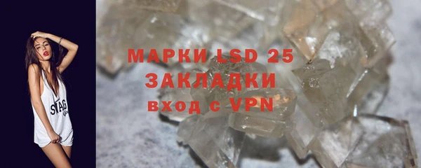 крисы Вязьма