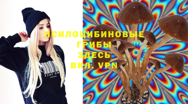 соль ск Вязники