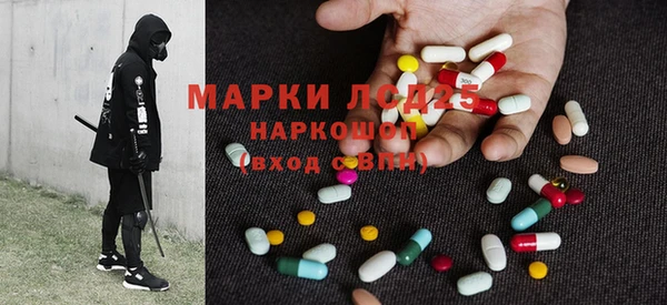 крисы Вязьма