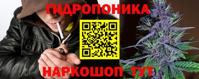 apvp Тара