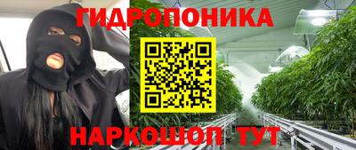 дмт Тверь