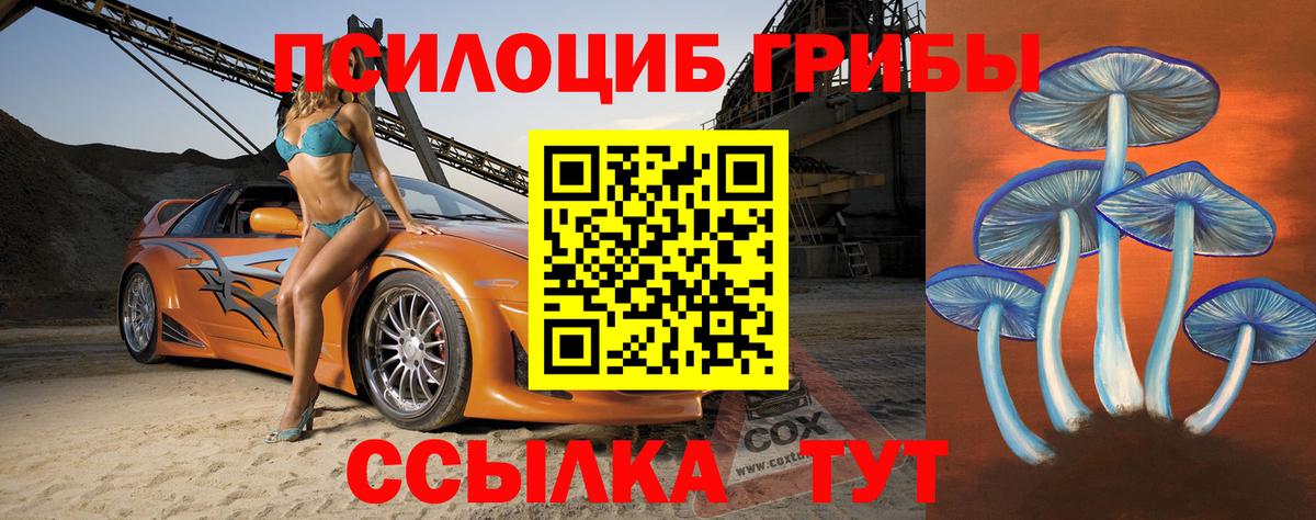 Псилоцибиновые грибы Psilocybe Снежинск