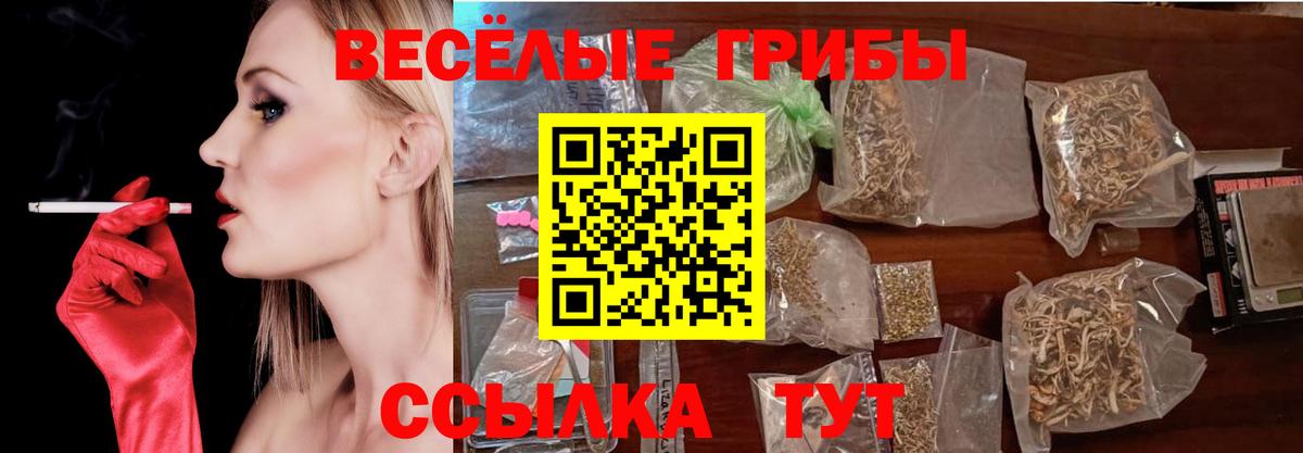 Галлюциногенные грибы MAGIC MUSHROOMS  Вход с VPN  Снежинск 